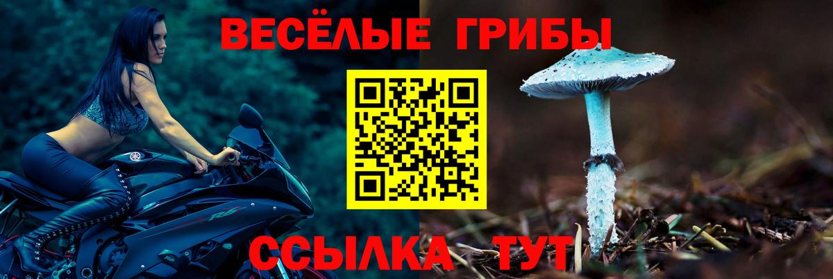 Лениногорск  купить  цена  Вход с VPN  Псилоцибиновые грибы мухоморы 