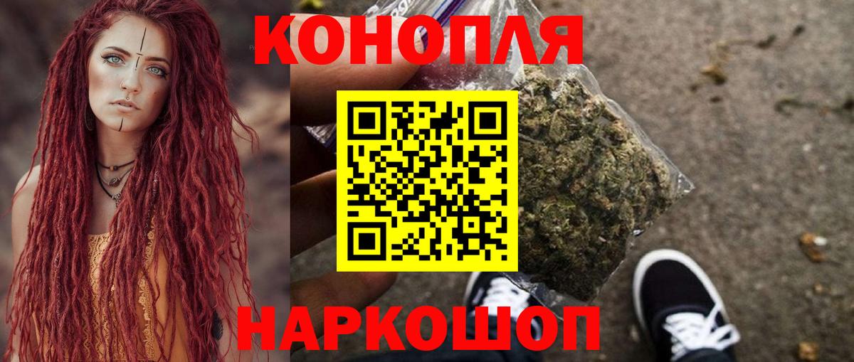 Каннабис сатива Лениногорск